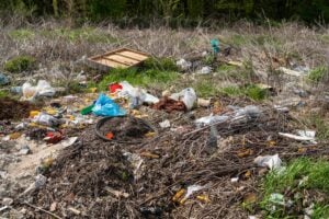 The problem of man-made waste. Climate crisis in nature, land pollution near a forest park. Dirty ground, throwing away outdoor garbage requires environmental protection